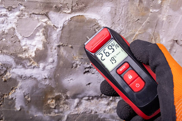 Best HVAC Mold Remediation in Vega, TX